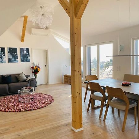 Bodensee Apartments Meersburg Sonnhalde מראה חיצוני תמונה